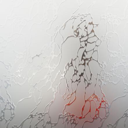 TruStile Glass Options